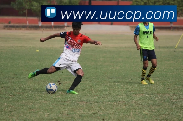 体育数据展示